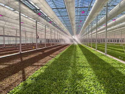 6 ha Floating System and Machinery in USA