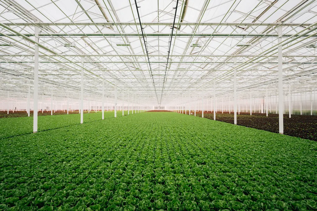 L4F_floating systems – crops slider 3