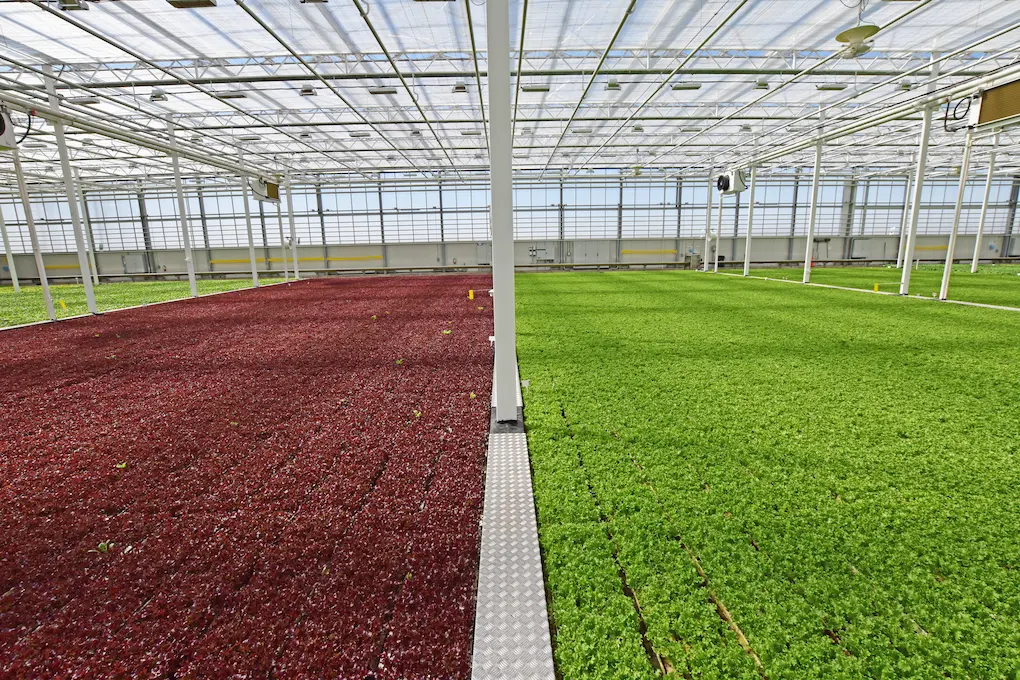 L4F_floating systems – crops slider 7