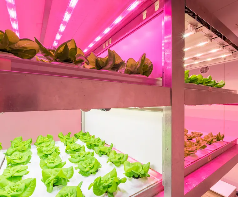 L4F_growing facilities slide 5