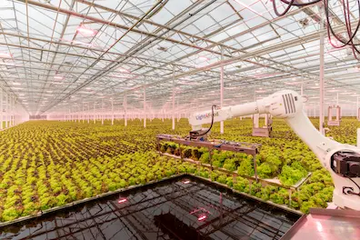 L4F_showcase project – 2.5ha floating system Germany