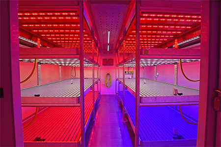 Lighting system