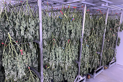 Drying Chambers