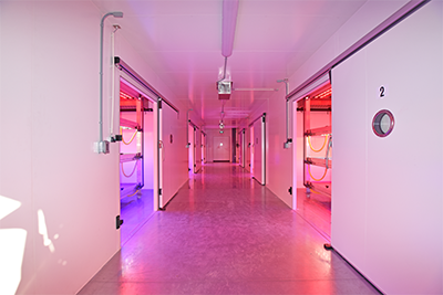 In Vitro Chambers