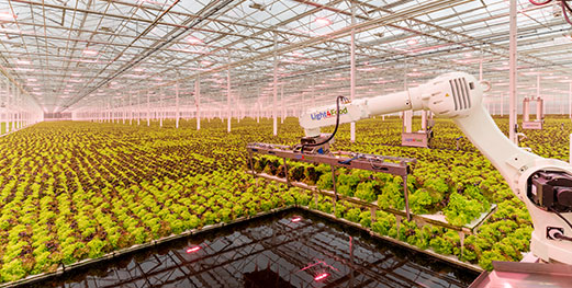 Floater handling robot