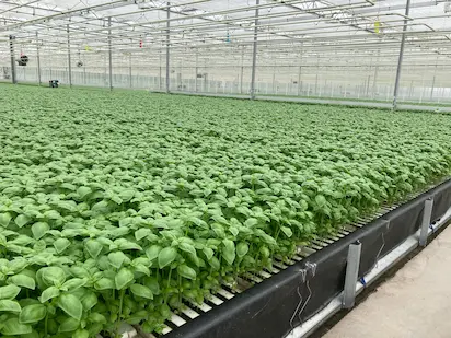 1 ha Floating System and Machinery in Germany