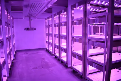 Climate Chambers for Propagation in USA
