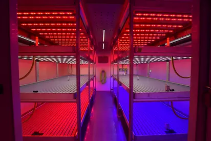Climate Chambers for Research in Canada