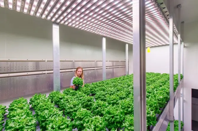 Climate Chambers for Research in Netherlands