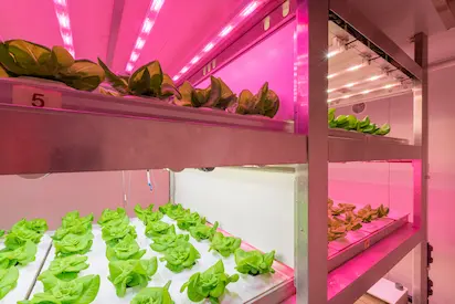 Climate Chambers for Research in Norway